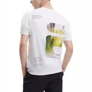 FILA T