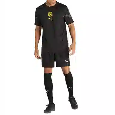 Puma BVB LogoT