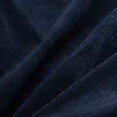 Polo Ralph Lauren Jacket Blue