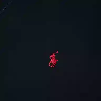 Polo Ralph Lauren Logo