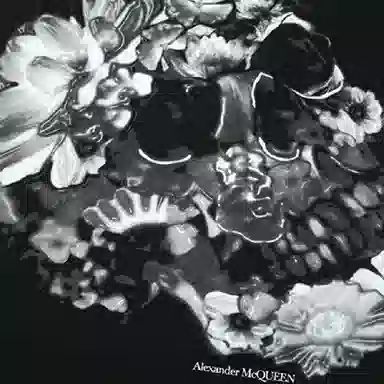 Alexander McQueen Skull Print Long Sleeve T-Shirt