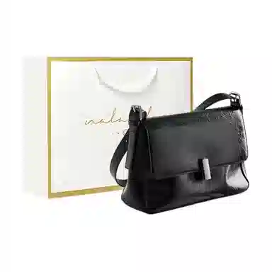 纳兰杜 百搭时尚夏天潮流通勤 牛皮 斜挎包单肩包小方包腋下包 常规 女款 极光银/子夜黑