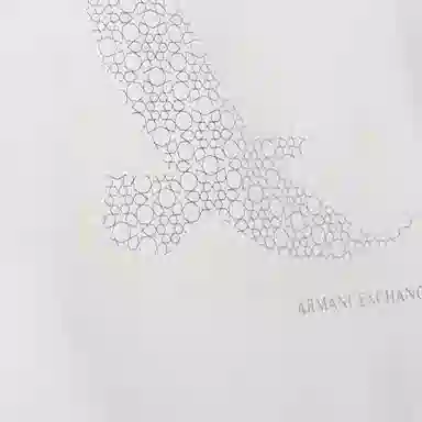 EMPORIO ARMANI SS22 T