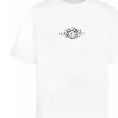 DIOR x jordan T