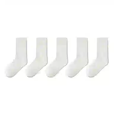 Dorsill 5