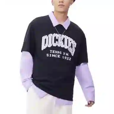 Dickies LogoT
