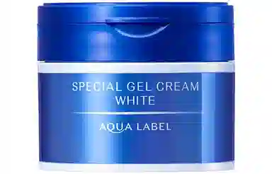 SHISEIDO 90g