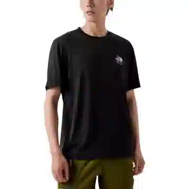 THE NORTH FACE logoT