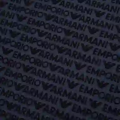 EMPORIO ARMANI SS24 LogoPolo