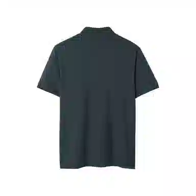 HLA polo