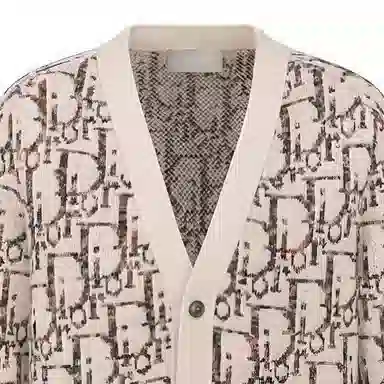 DIOR FW23 V