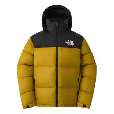 THE NORTH FACE FW24 1996 NUPTSE700