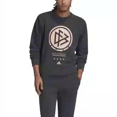 adidas Dfb Ssp Cr Swt Logo