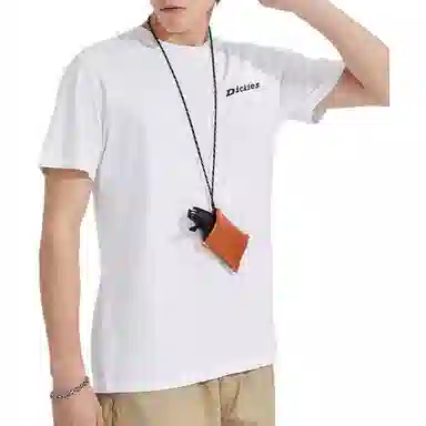 Dickies SS22 logoT