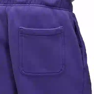 Jordan x Wordmark Purple Shorts