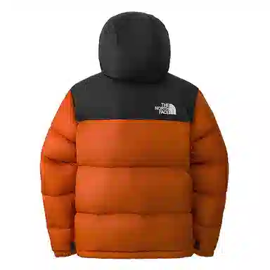 THE NORTH FACE FW24 1996 NUPTSE700