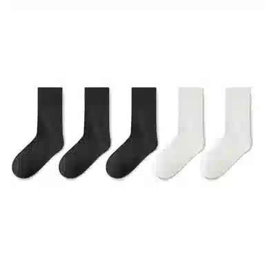 Dorsill 5