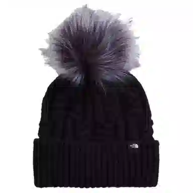 THE NORTH FACE Logo -