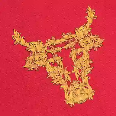 VERSACE JEANS COUTURE SS21 T