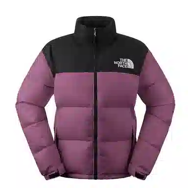 THE NORTH FACE 1996 FW24 logo