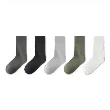 Dorsill 5