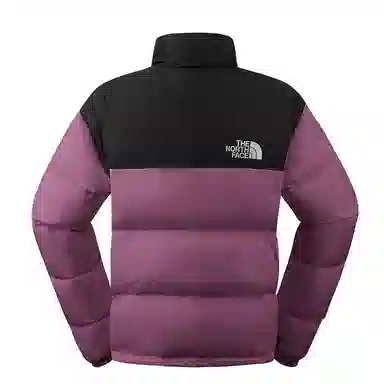 THE NORTH FACE 1996 FW24 logo