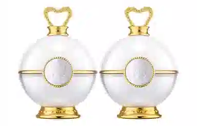 FANJEIS 20g*2
