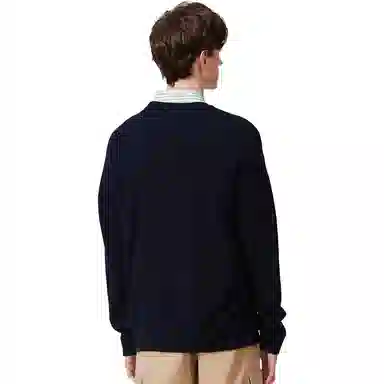 Lacoste Pullover Knit Sweater Navy Blue