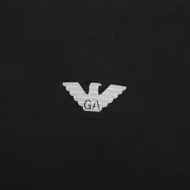 EMPORIO ARMANI Logo SS23T 2