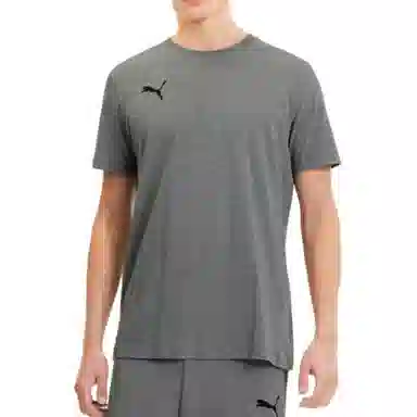 PUMA TEAMGOAL23 logoT