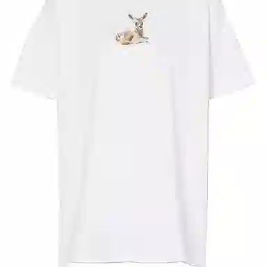 Burberry T