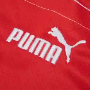 PUMA 2022 LogoV