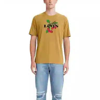 levis logoT