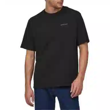 patagonia T