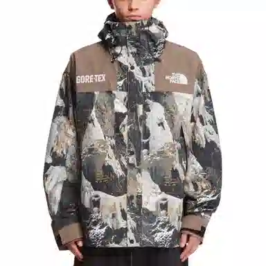 The North Face Baltoro Gore-Tex Mountain Jacket