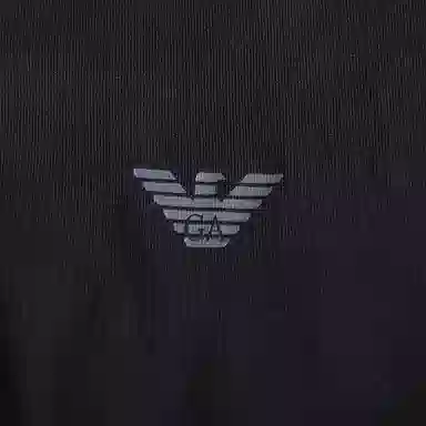 EMPORIO ARMANI LogoT 2