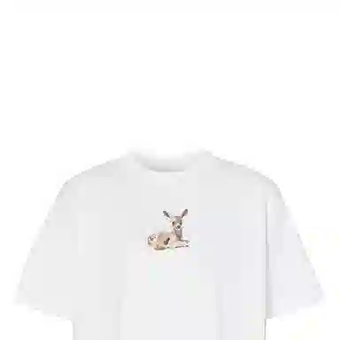 Burberry T
