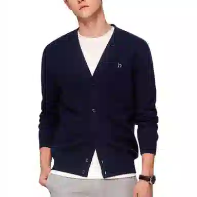 HAZZYS v