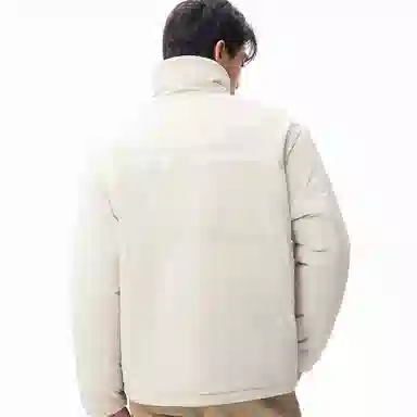 Dickies x