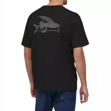 patagonia T