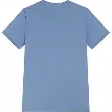 361 T