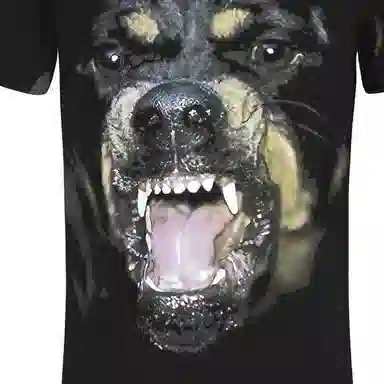 Givenchy Rottweiler T-Shirt