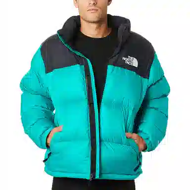 The North Face 1996 Retro 700 Down Jacket