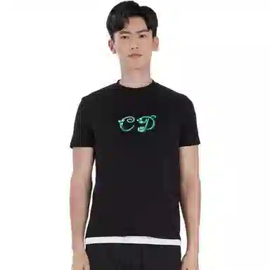 DIOR DIOR T
