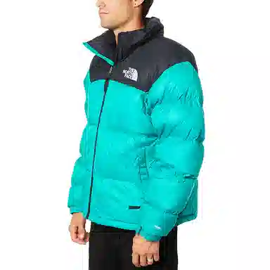 The North Face 1996 Retro 700 Down Jacket