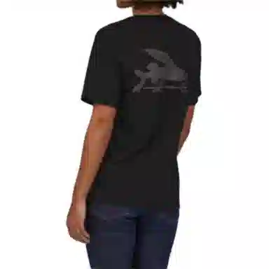 patagonia T