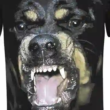 Givenchy Rottweiler T-Shirt