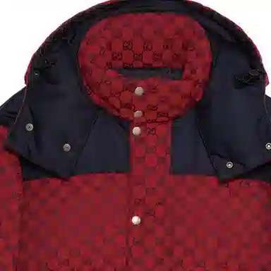 Gucci FW23 Printed Down Hoodie Jacket Red
