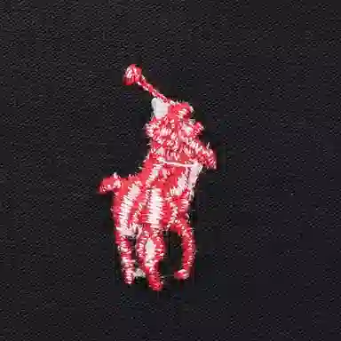 Polo Ralph Lauren LogoT 520