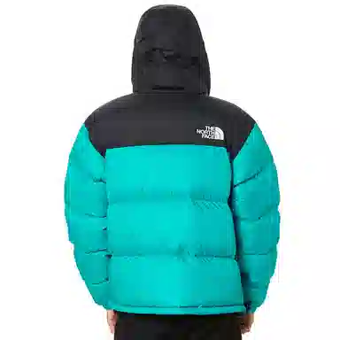 The North Face 1996 Retro 700 Down Jacket
